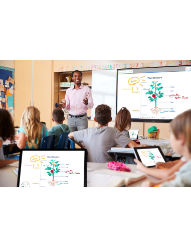 Pantalla plana interactiva Optoma  3753RK Creative Touch Serie 3 de 75 pulgadas 4k