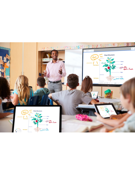 Pantalla plana interactiva Optoma  3753RK Creative Touch Serie 3 de 75 pulgadas 4k